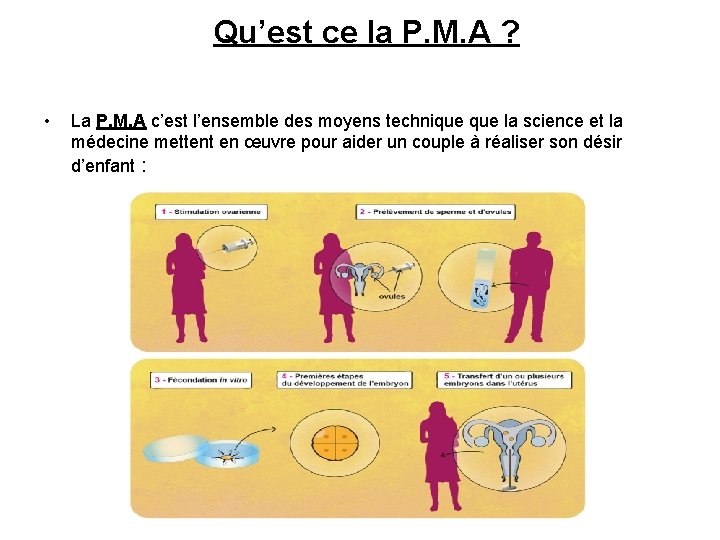 Qu’est ce la P. M. A ? • La P. M. A c’est l’ensemble