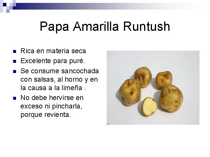 Papa Amarilla Runtush n n Rica en materia seca Excelente para puré. Se consume Papa Amarilla Runtush n n Rica en materia seca Excelente para puré. Se consume