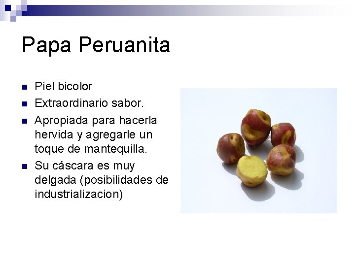 Papa Peruanita n n Piel bicolor Extraordinario sabor. Apropiada para hacerla hervida y agregarle Papa Peruanita n n Piel bicolor Extraordinario sabor. Apropiada para hacerla hervida y agregarle