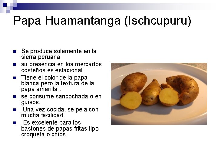 Papa Huamantanga (Ischcupuru) n n n Se produce solamente en la sierra peruana su Papa Huamantanga (Ischcupuru) n n n Se produce solamente en la sierra peruana su