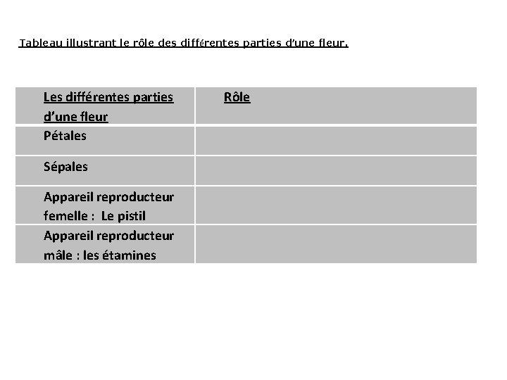 Tableau illustrant le rôle des différentes parties d’une fleur. Les différentes parties d’une fleur