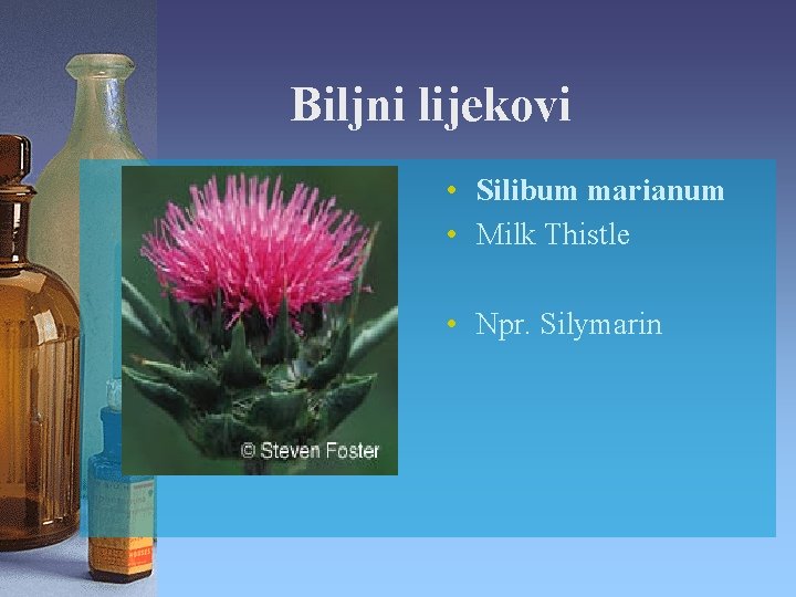 Biljni lijekovi • Silibum marianum • Milk Thistle • Npr. Silymarin 