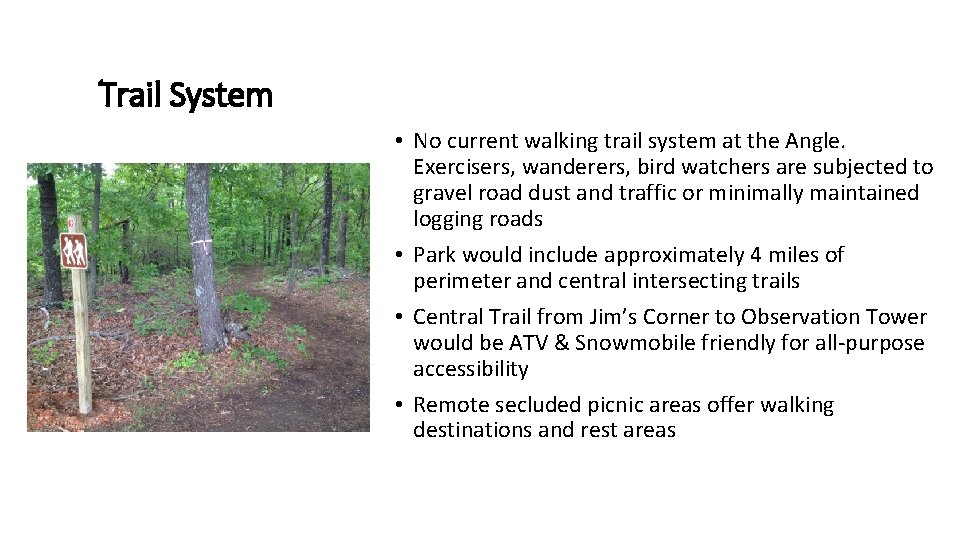 Trail System • No current walking trail system at the Angle. Exercisers, wanderers, bird