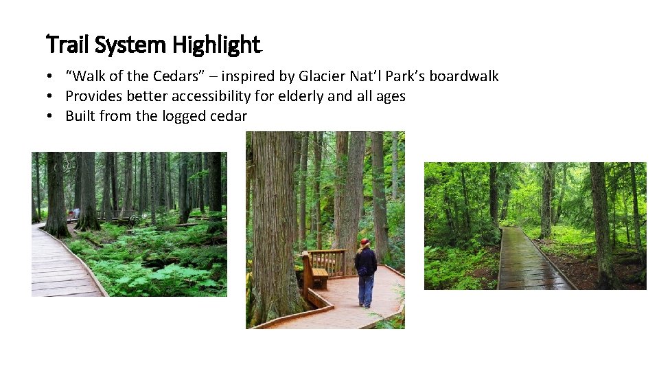 Trail System Highlight • “Walk of the Cedars” – inspired by Glacier Nat’l Park’s