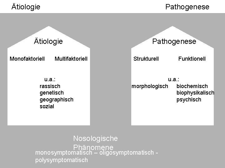 Ätiologie Pathogenese Ätiologie Monofaktoriell Pathogenese Multifaktoriell u. a. : rassisch genetisch geographisch sozial Nosologische