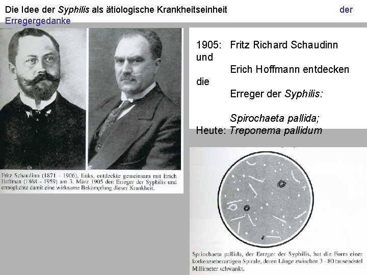 Die Idee der Syphilis als ätiologische Krankheitseinheit Erregergedanke der 1905: Fritz Richard Schaudinn und