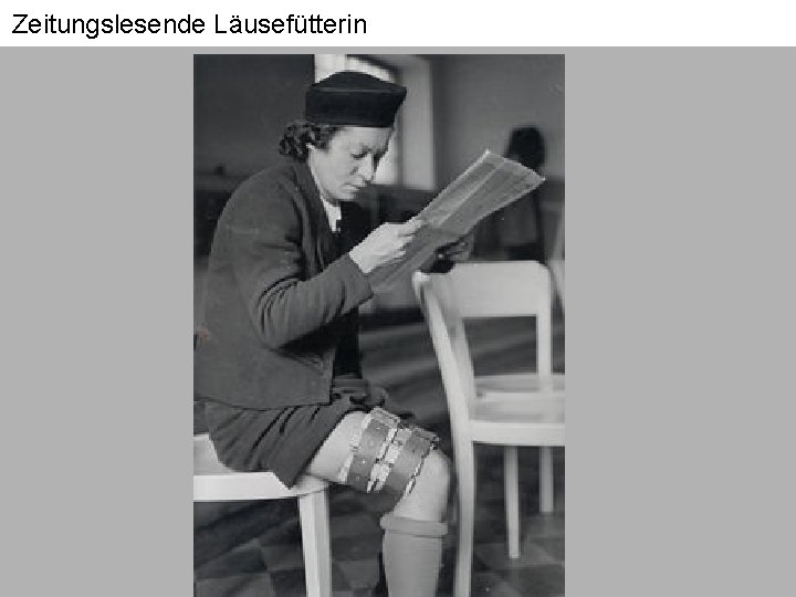 Zeitungslesende Läusefütterin 