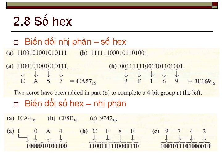 2. 8 Số hex o Biến đổi nhị phân – số hex o Biến