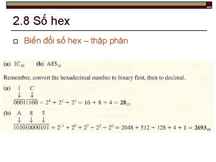 2. 8 Số hex o Biến đổi số hex – thập phân 