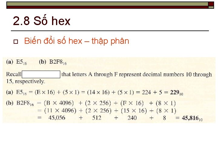 2. 8 Số hex o Biến đổi số hex – thập phân 