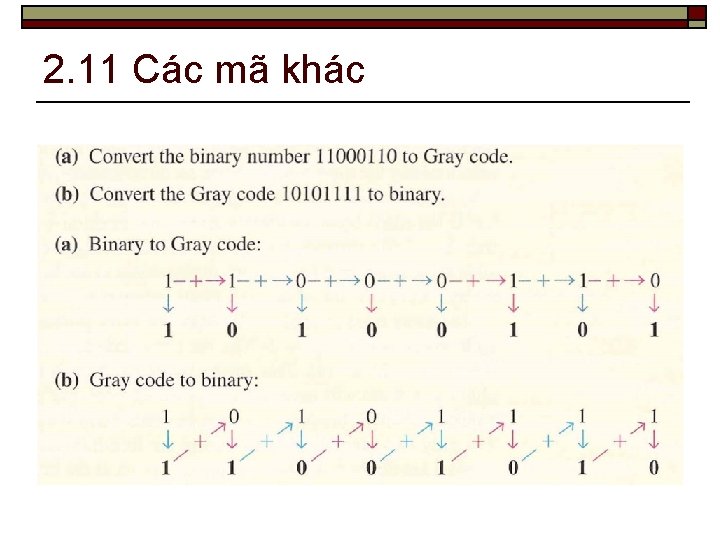 2. 11 Các mã khác 