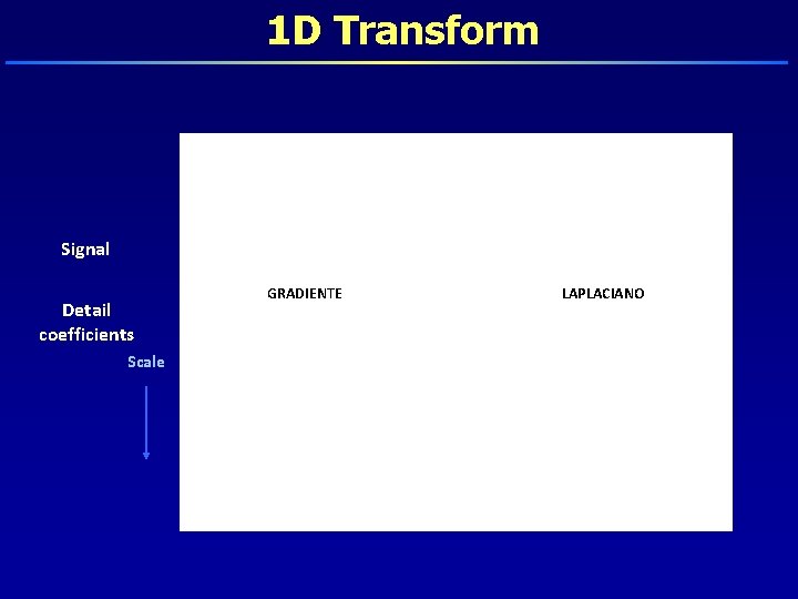 1 D Transform Signal Detail coefficients Scale GRADIENTE LAPLACIANO 
