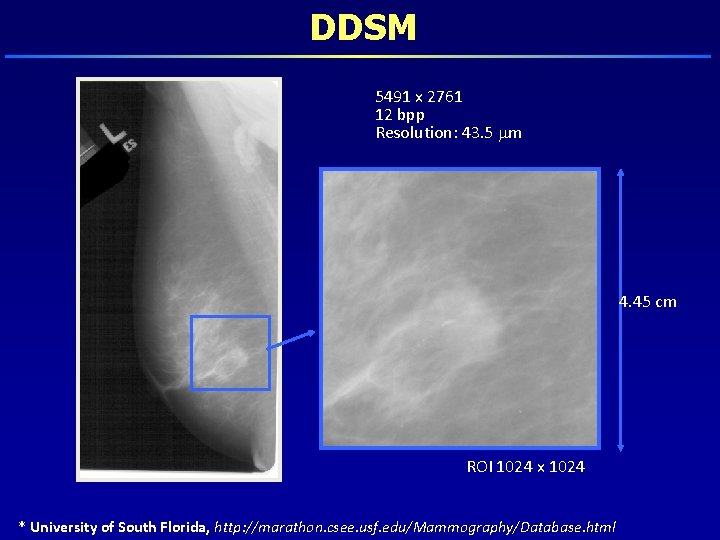 DDSM 5491 x 2761 12 bpp Resolution: 43. 5 m 4. 45 cm ROI