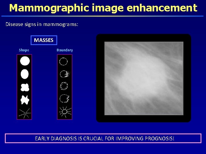 Mammographic image enhancement Disease signs in mammograms: MASSES Shape Boundary EARLY DIAGNOSIS IS CRUCIAL