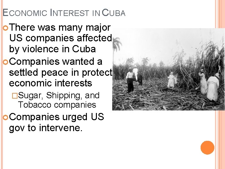 ECONOMIC INTEREST IN CUBA There was many major US companies affected by violence in ECONOMIC INTEREST IN CUBA There was many major US companies affected by violence in