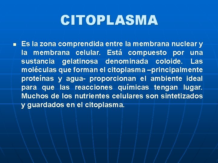 CITOPLASMA n Es la zona comprendida entre la membrana nuclear y la membrana celular.