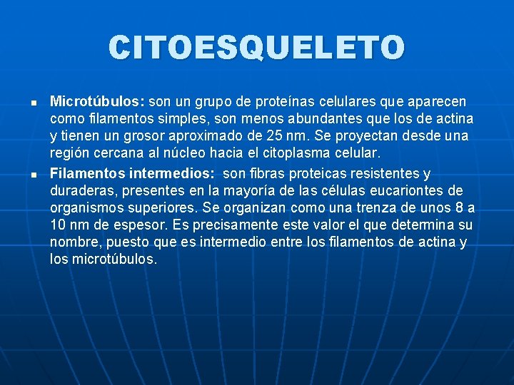 CITOESQUELETO n n Microtúbulos: son un grupo de proteínas celulares que aparecen como filamentos