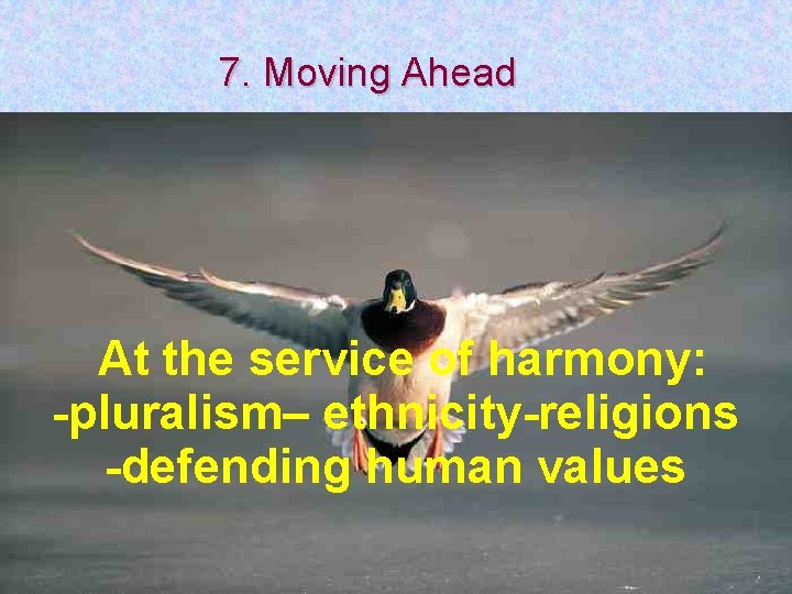 7. Moving Ahead At the service of harmony: -pluralism– ethnicity-religions -defending human values 