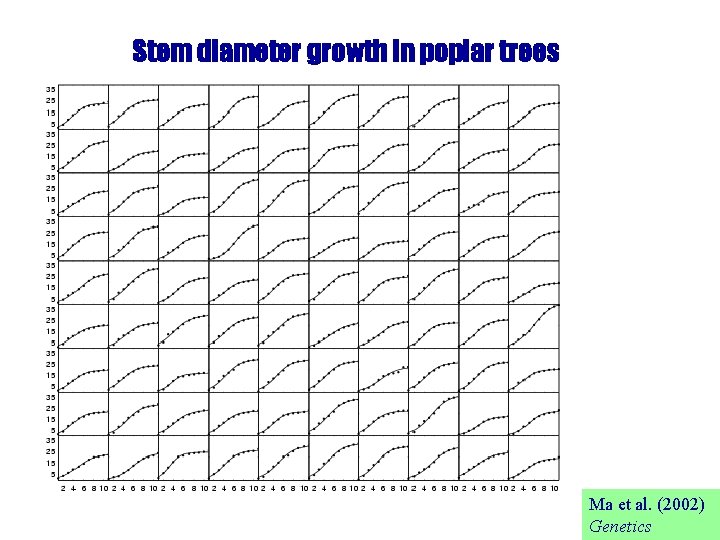 Stem diameter growth in poplar trees Ma et al. (2002) Genetics 