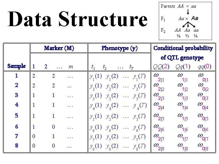 Data Structure Marker (M) Phenotype (y) Sample 1 2 … m t 1 t