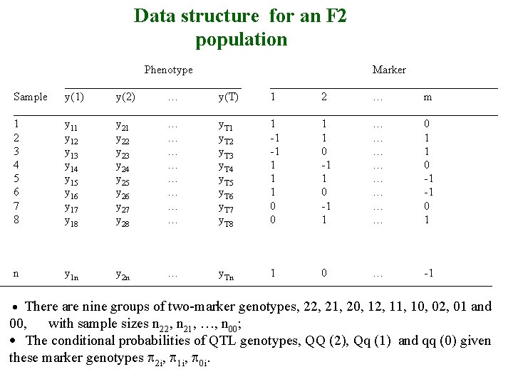 Data structure for an F 2 population Phenotype Marker ____________________________________ Sample y(1) y(2) …