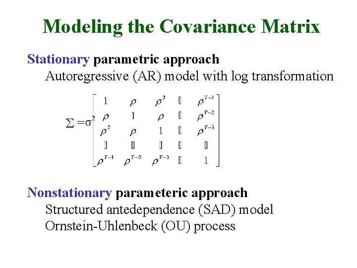 Modeling the Covariance Matrix Stationary parametric approach Autoregressive (AR) model with log transformation =