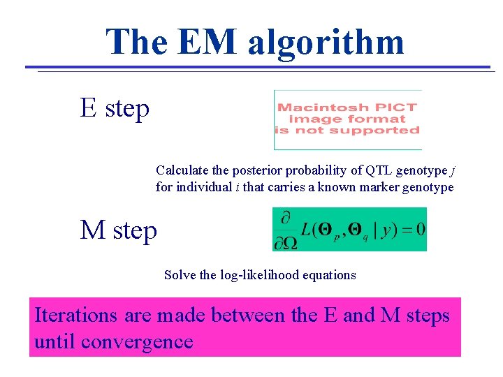 The EM algorithm E step Calculate the posterior probability of QTL genotype j for