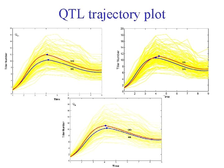 QTL trajectory plot 