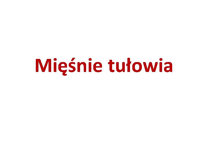 Mięśnie tułowia 