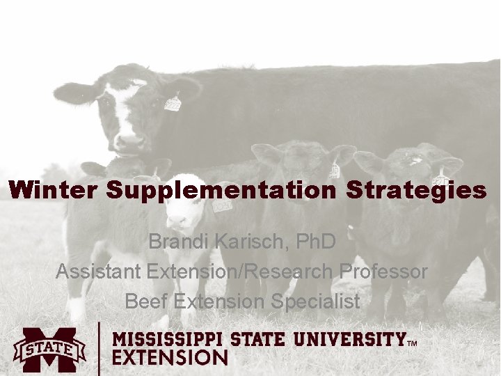 Winter Supplementation Strategies Brandi Karisch, Ph. D Assistant Extension/Research Professor Beef Extension Specialist 