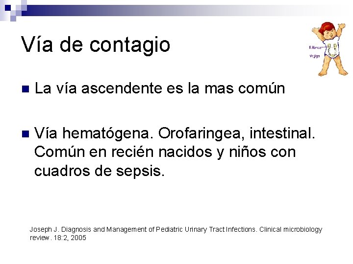 Vía de contagio n La vía ascendente es la mas común n Vía hematógena. Vía de contagio n La vía ascendente es la mas común n Vía hematógena.