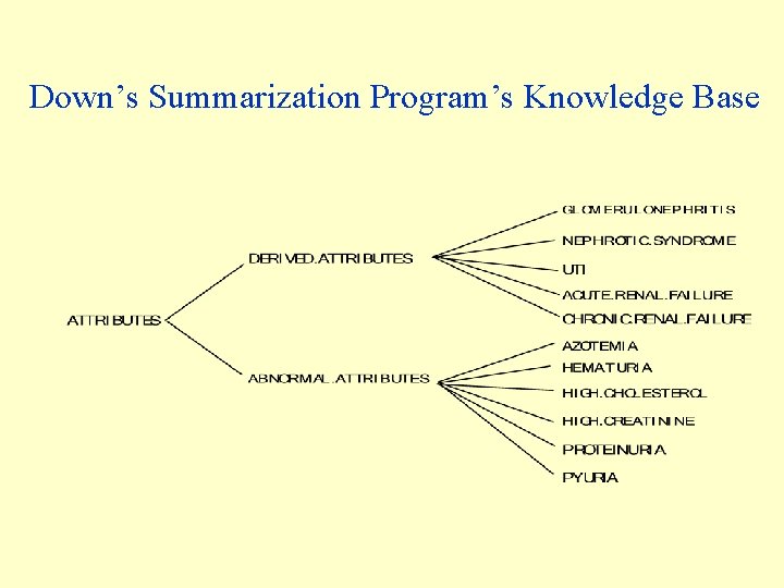 Down’s Summarization Program’s Knowledge Base 