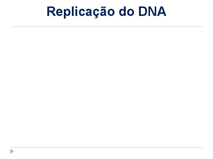 Replicação do DNA 