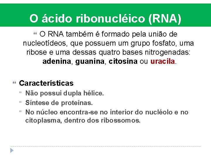 O ácido ribonucléico (RNA) O RNA também é formado pela união de nucleotídeos, que O ácido ribonucléico (RNA) O RNA também é formado pela união de nucleotídeos, que
