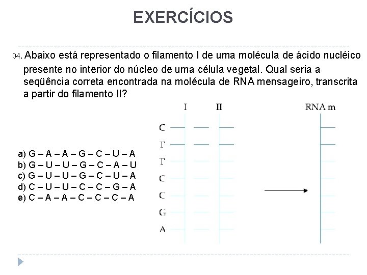 EXERCÍCIOS 04. Abaixo está representado o filamento I de uma molécula de ácido nucléico