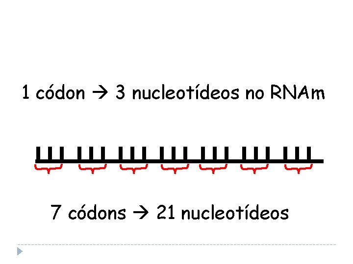 1 códon 3 nucleotídeos no RNAm 7 códons 21 nucleotídeos 