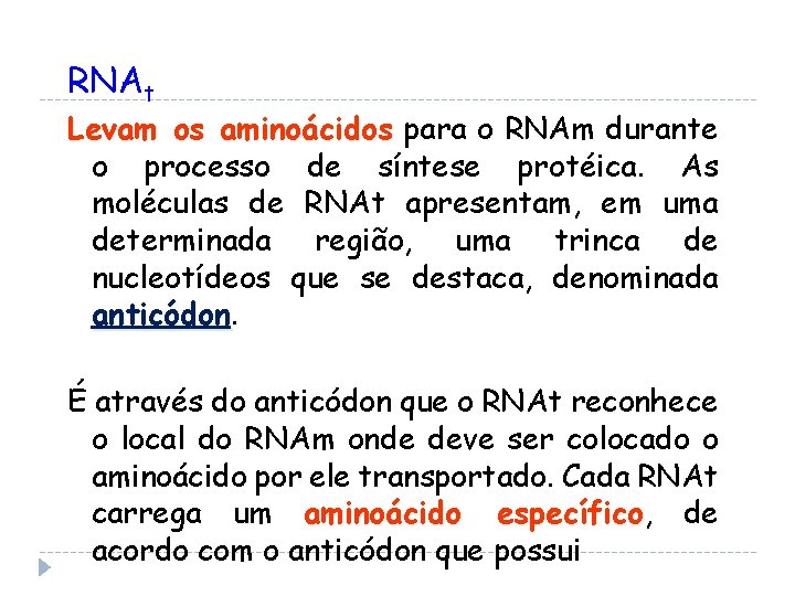 RNAt Levam os aminoácidos para o RNAm durante o processo de síntese protéica. As