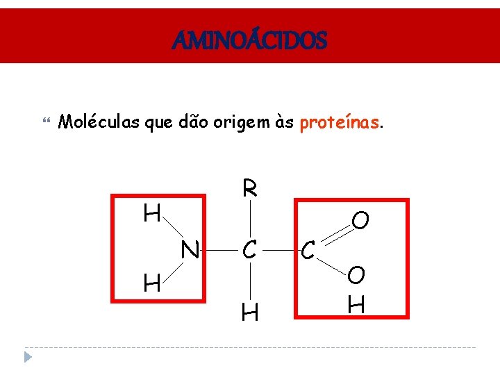 AMINOÁCIDOS Moléculas que dão origem às proteínas R H H N C H C