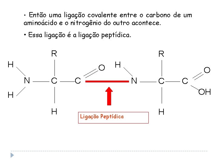  • Então uma ligação covalente entre o carbono de um aminoácido e o