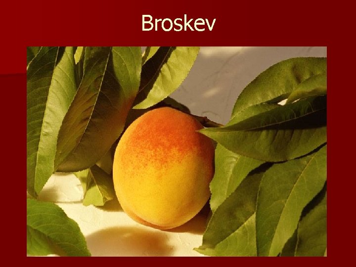 Broskev 