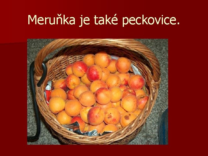 Meruňka je také peckovice. 
