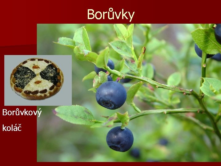 Borůvky Borůvkový koláč 