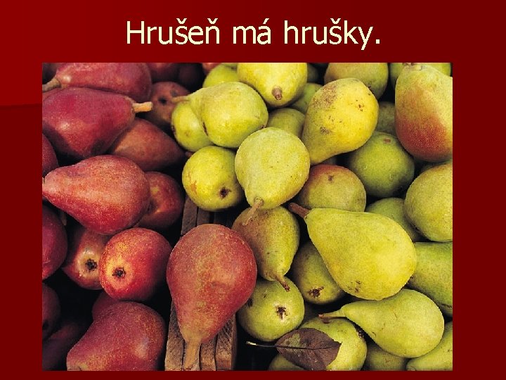 Hrušeň má hrušky. 