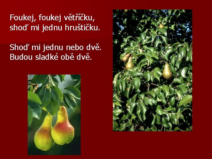 Foukej, foukej větříčku, shoď mi jednu hruštičku. Shoď mi jednu nebo dvě. Budou sladké