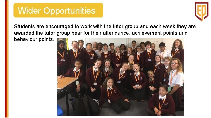 Wider Opportunities Students are encouraged to work with the tutor group and each week