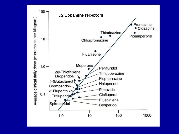 D 2 Dopamine receptors 