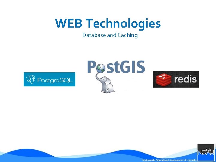 WEB Technologies Database and Caching 