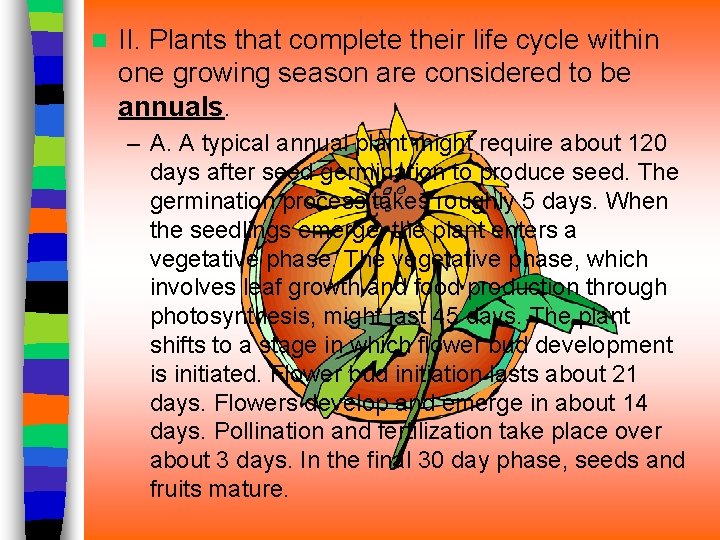 n II. Plants that complete their life cycle within one growing season are considered