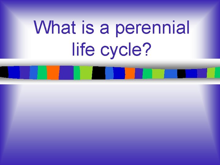 What is a perennial life cycle? 
