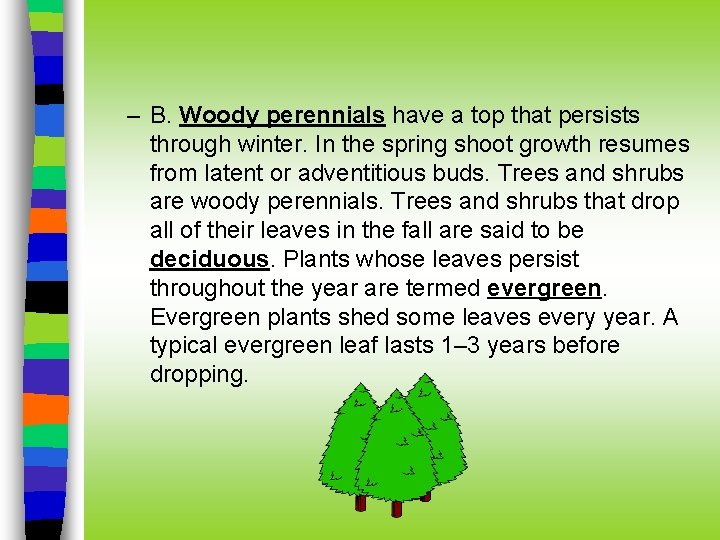 – B. Woody perennials have a top that persists through winter. In the spring